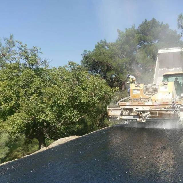 Selçuk Belediyesi proje görseli 3
