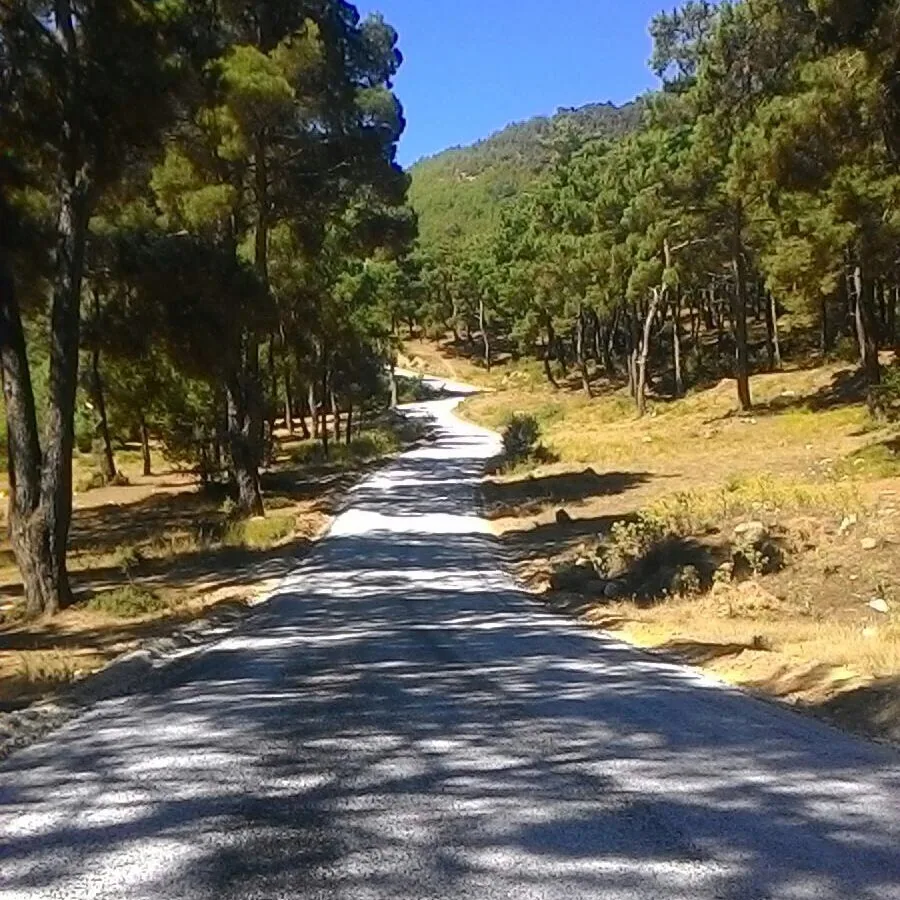TC Orman ve Su İşleri Bakanlığı proje görseli 2